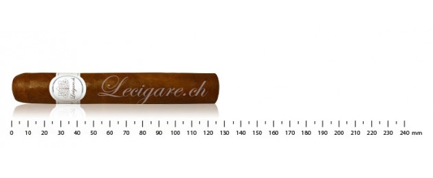 Lecigare - Classic Line -...