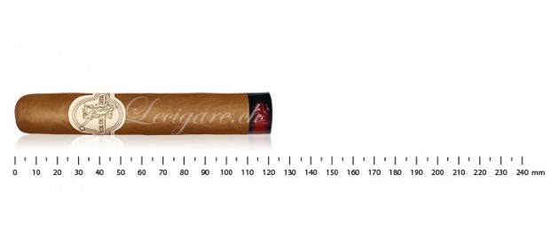 Flor de Selva Robusto