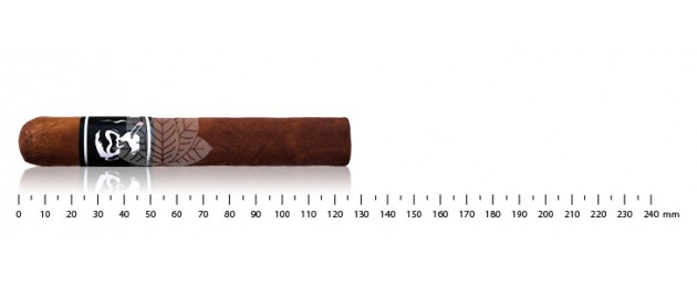Crazy Monkey Big Robusto