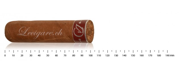 CVJ Robusto