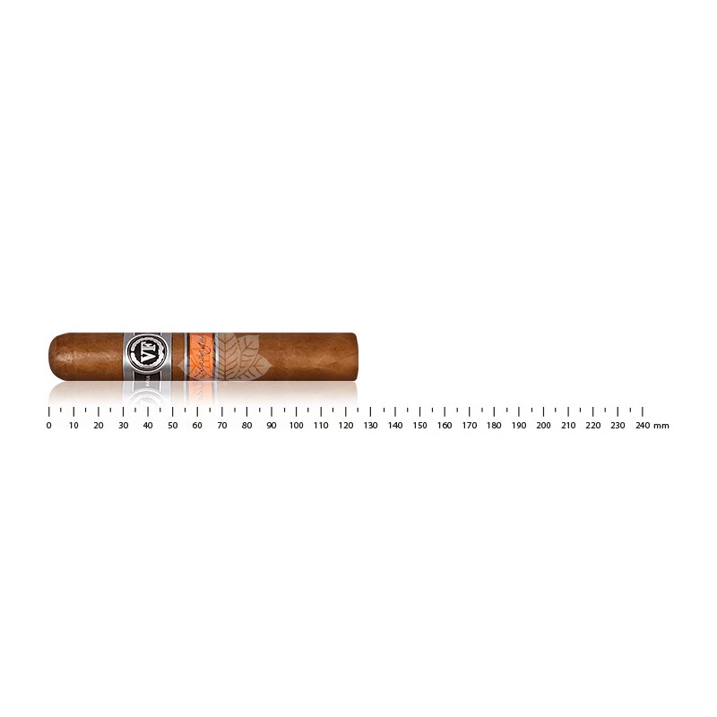 VegaFina Nicaragua Robusto AT