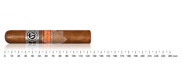 Vega Fina Nicaragua Robusto
