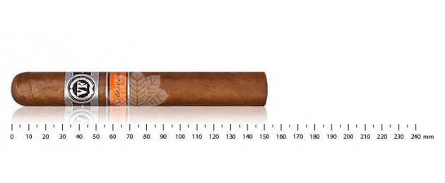 Vega Fina Nicaragua Gran Toro