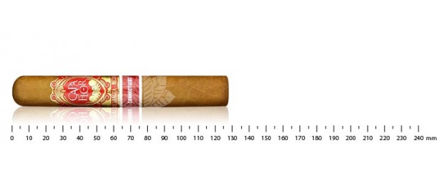 Capa Flor Connecticut Robusto