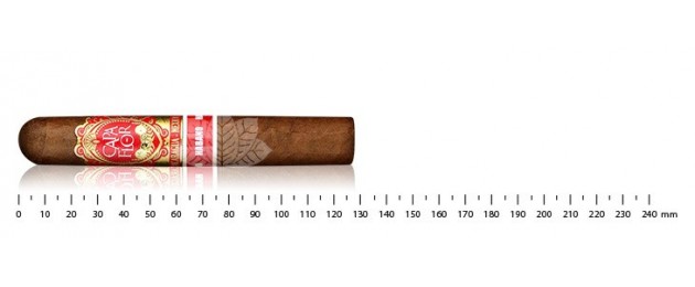 Capa Flor Habano Robusto