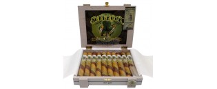 Alec Bradley Filthy Hooligan Shamrock 2023