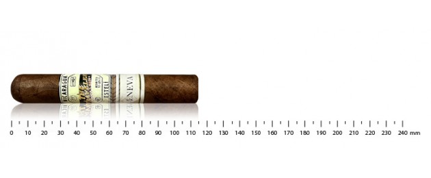 The Traveler Maduro Geneva