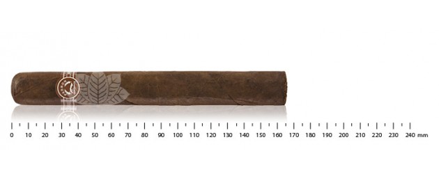 Padron Classic 4000 maduro