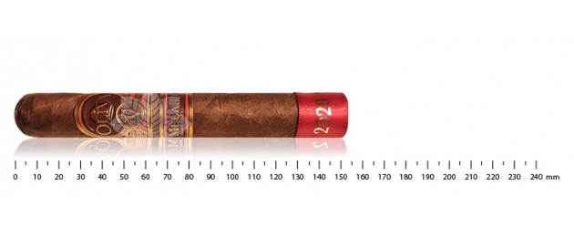 Oliva Série V Melanio Toro...