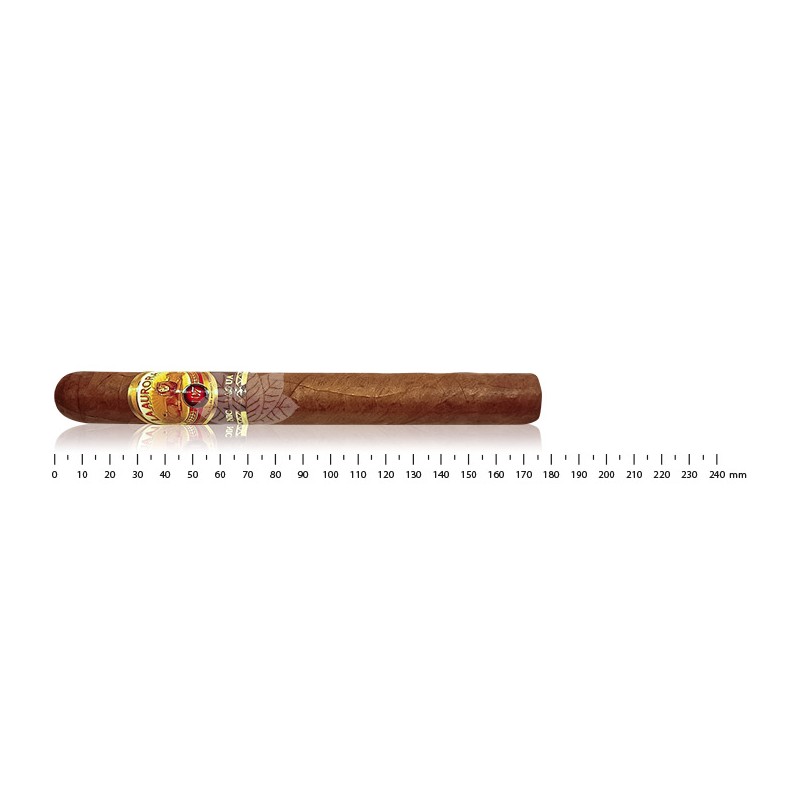 La Aurora 107 Nicaragua Churchill