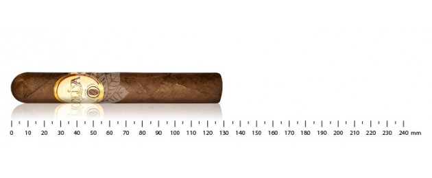 Oliva Série O Robusto