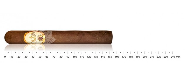 Oliva Série O Toro