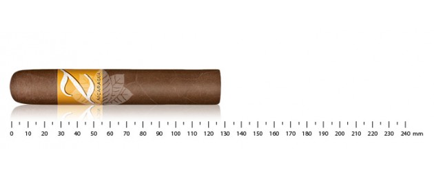 Zino Nicaragua Robusto