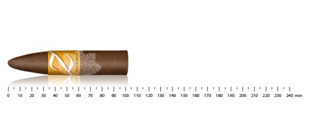 Zino Nicaragua Short Torpedo