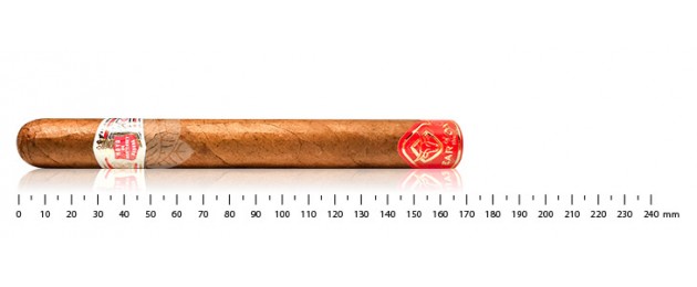 Hoyo de Monterrey...