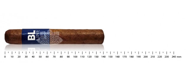 Lecigare - Blue Line - Duke