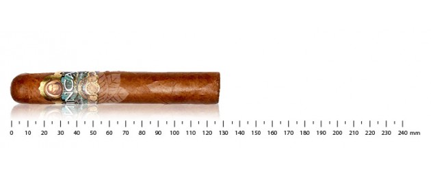 Inca Roca - Robusto