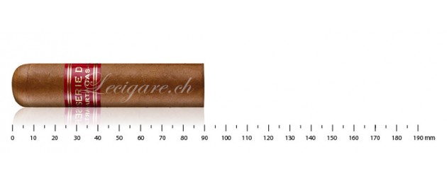 Partagas Série D No.6 (5)