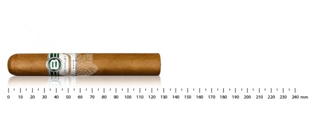 Bentley White Robusto