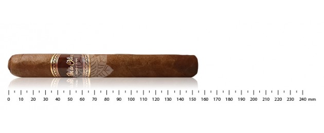 Flor de Oliva Toro