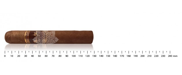 Flor de Oliva Robusto