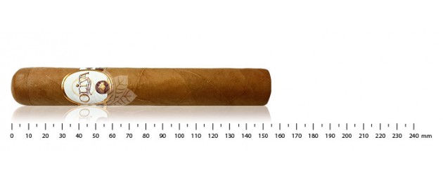 Oliva Connecticut Reserva...
