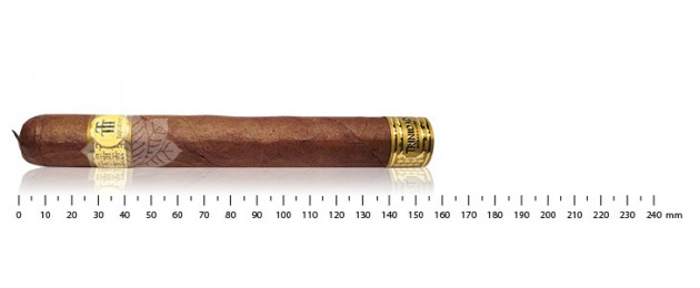 Trinidad Robusto Extra humidor