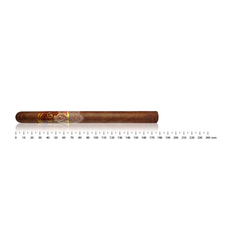 Oliva Série V Lancero