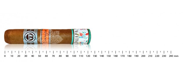 Vega Fina Jalapa Edition...