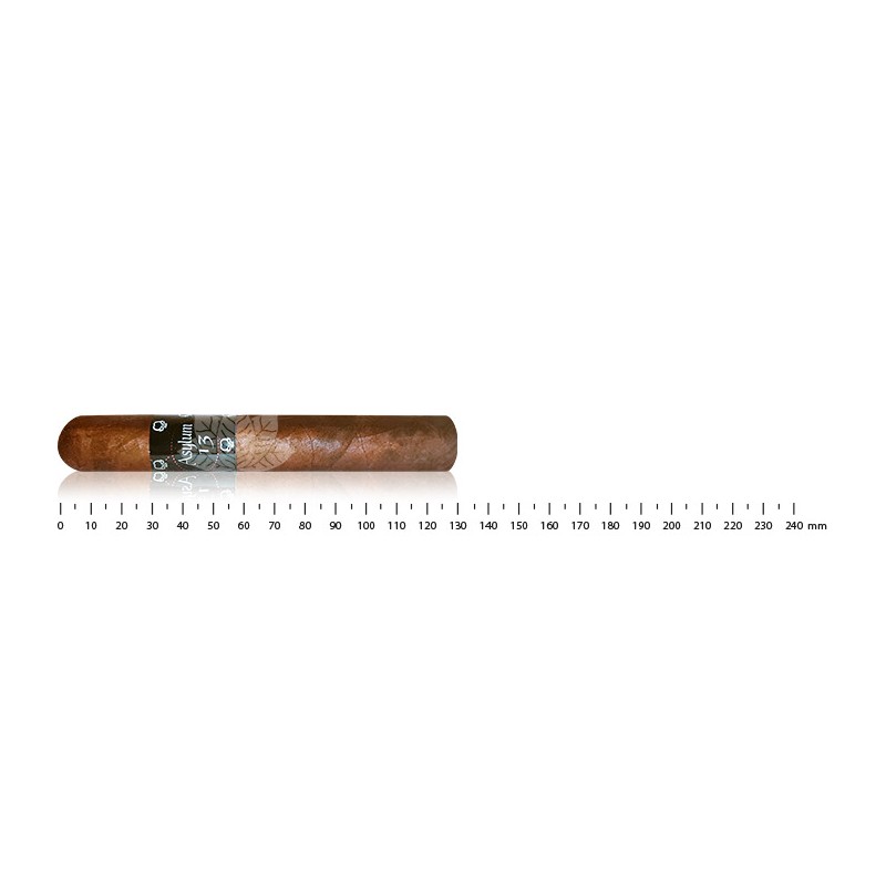 Asylum 13 Robusto