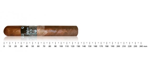 Asylum 13 Robusto