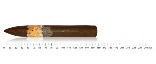 Merchant Belicoso