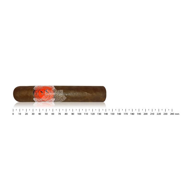 Merchant Big Robusto