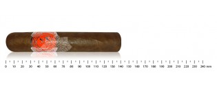 Merchant Big Robusto