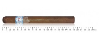 Vega Fina Prominente