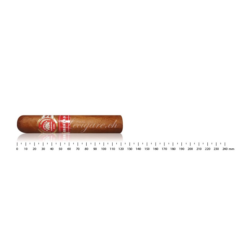 H.Upmann Magnum 54 AT