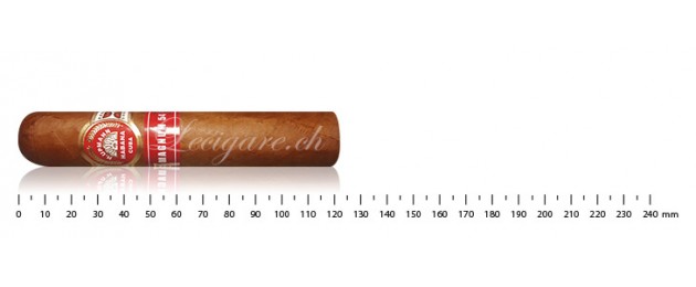 H.Upmann Magnum 54 AT