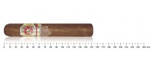 Arturo Fuente Rosado Sungrown 60