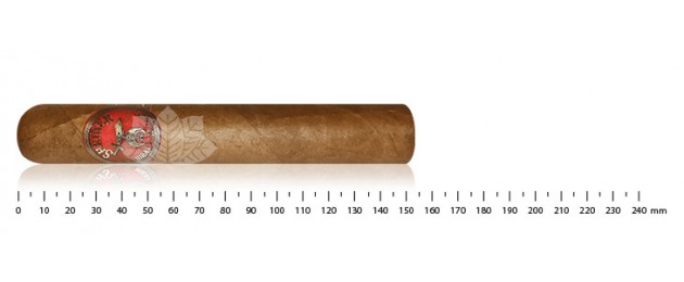 Hiram & Solomon Shriner Gran Toro