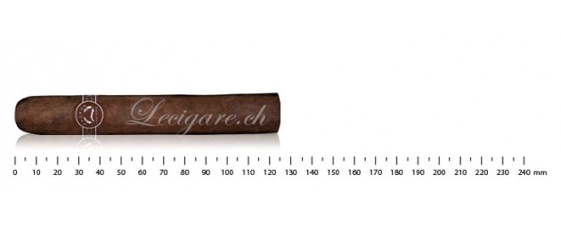 Padron Classic 2000 maduro