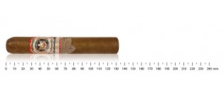 Arturo Fuente Don Carlos Reserva Superior Robusto