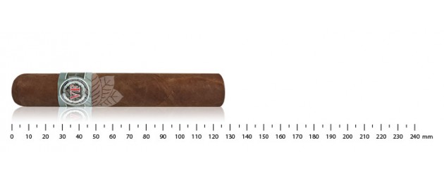 Vega Fina Robusto - Fortaleza 2
