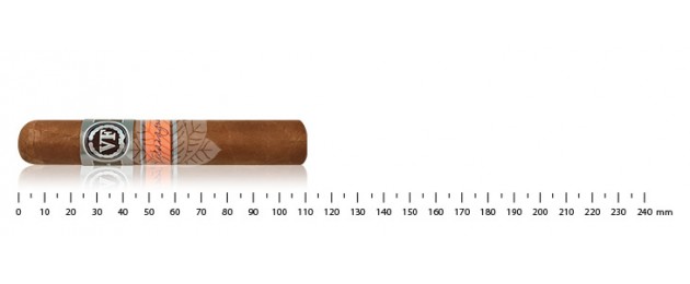 Vega Fina Nicaragua Short
