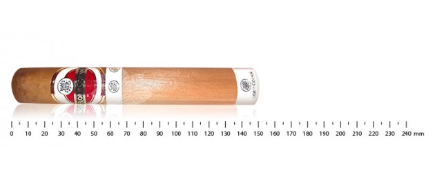 Flor de Copan Titan