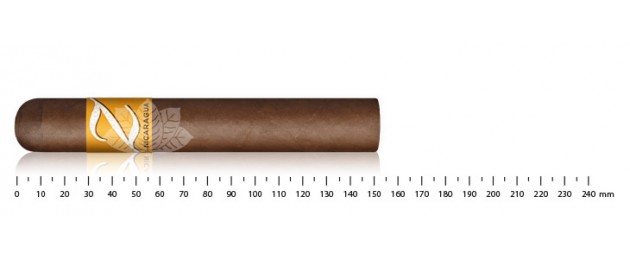 Zino Nicaragua Gordo