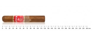 Joya de Nicaragua RED Short Churchill