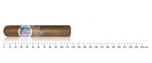 HR Robaina - Blue Line Petit Edmundo