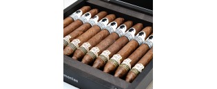 Gilbert de Montsalvat 20 Anniversary Salomones