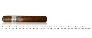 Zigarren Nicaragua Robusto Entdeckungspaket