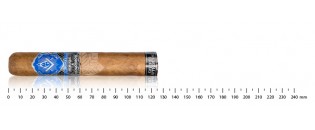 Zigarren Nicaragua Robusto Entdeckungspaket